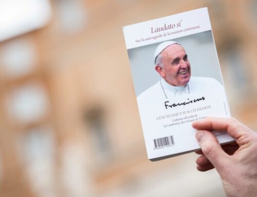 Pope Leo notes ‘extraordinary impact’ of Francis’ encyclical on environment