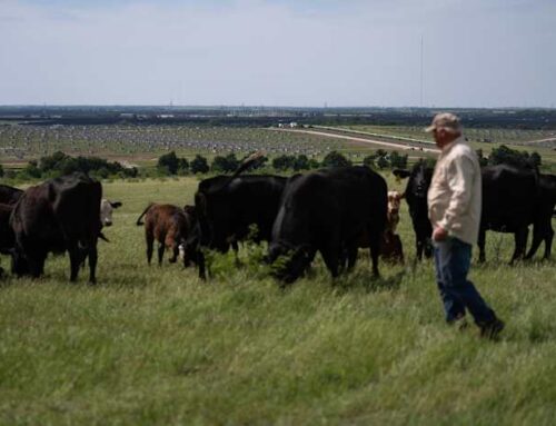 Why a Central Texas farmer is leading a one-man mission to stop renewable energy