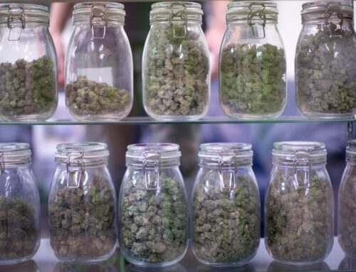 Federal judge strikes down Oregon pot labor law as unconstitutional