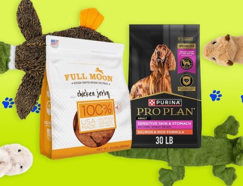 Amazon Pet Day 2025: 47 deals on dog and cat supplies you can’t miss