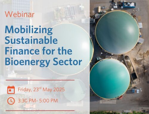 Mobilizing sustainable finance for the bio-energy sector