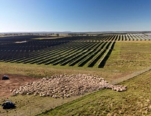 Australia’s NEM sees approved utility-scale solar PV capacity grow by half a gigawatt in A