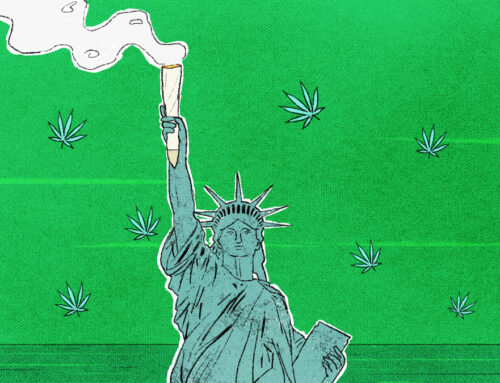 New York’s Recreational Cannabis Market Explodes with Over 370 Dispensaries in 16 Months |