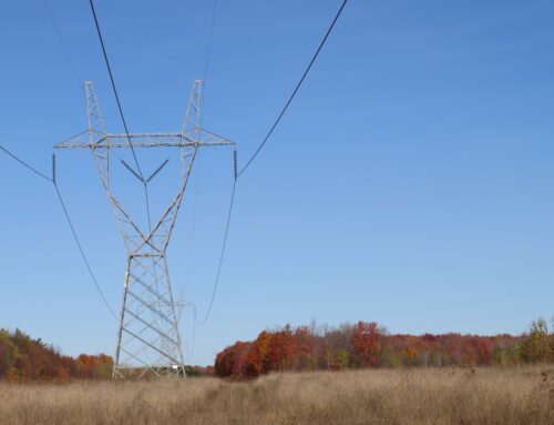 Michigan DNR opts not to lease public land near Gaylord for solar energy