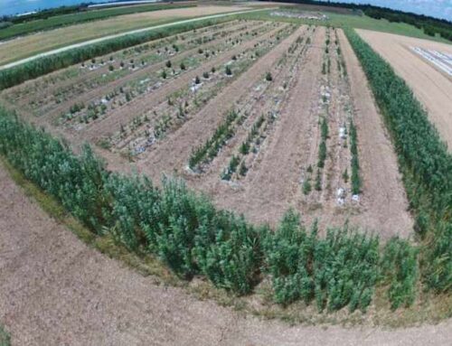 Drones and AI help farmers save money while protecting the environment