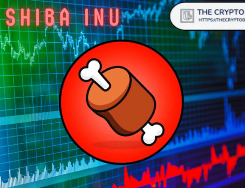 Shiba Inu: New Ethereum Whale Accumulates 1,764,519 BONE in 5 Days