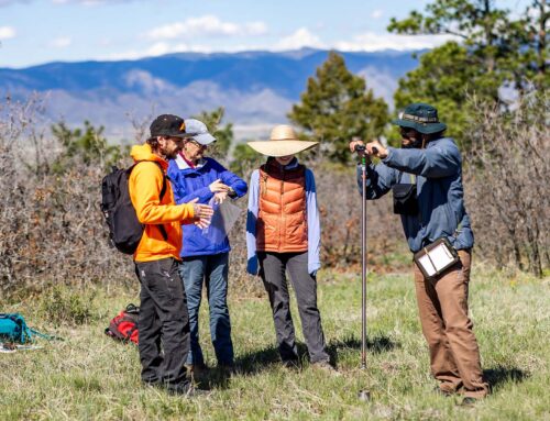 Dreams come true for students in environmental decision-making