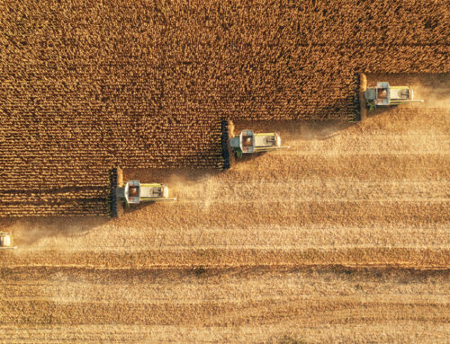 Key takeaways that define the agri sustainable investing landscape