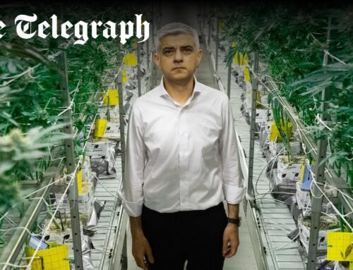 Sadiq Khan: Cannabis should not be criminal