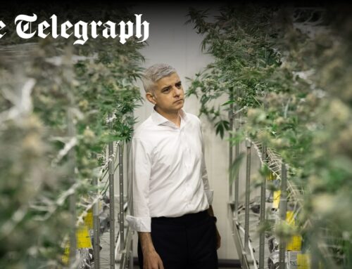 Put cannabis on par with crack, says policing chief in rebuke for Khan