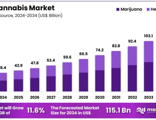 US Cannabis Market