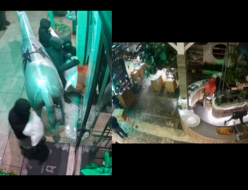 Celebrity-Owned Cannabis Dispensary The Woods WeHo Hit in Smash-and-Grab Burglary