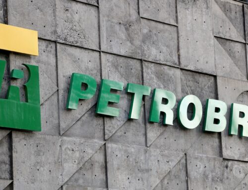 Brazil’s agency approves Petrobras’ fauna rescue plan as part of Amazon mouth request