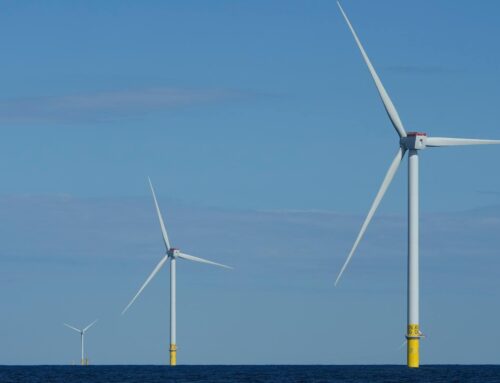 States sue Trump administration for blocking the development of wind energy