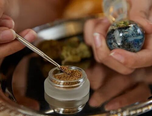 Poughkeepsie to Queens: The Popular Small Craft Cannabis Brand Flying Off Shelves | stupid
