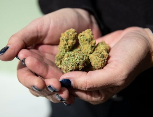 Weed instead of wine? What Pa.’s state-run weed stores could look like if recreational can