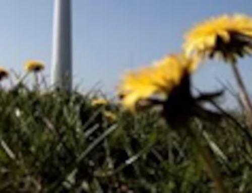 Over 100 workers fired from National Renewable Energy Lab in Golden