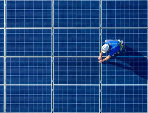 Resetting net zero: What next?
