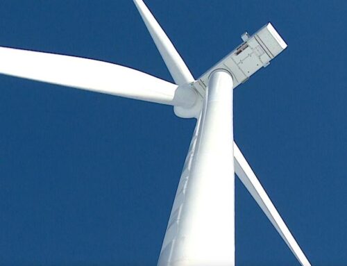 B.C. wildlife group concerned about risk to rainbow trout from wind farm project