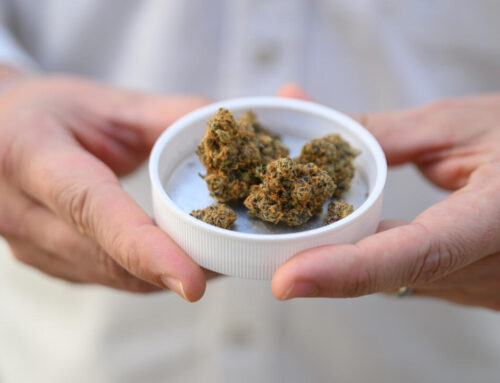 High times for German cannabis firm amid medical boom