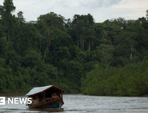 Amazon tribe sues New York Times over story it says led to porn addict claims