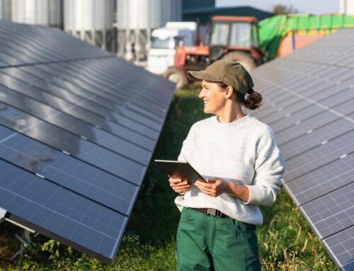 Farmers make stunning revelation while testing solar panels on cropland — here’s how it co