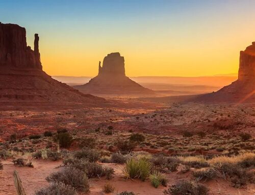 Arizona Q1 Cannabis Sales Down 13% from Last Year
