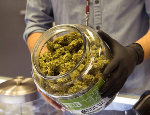 Arizona’s cannabis industry struggles as sales plummet