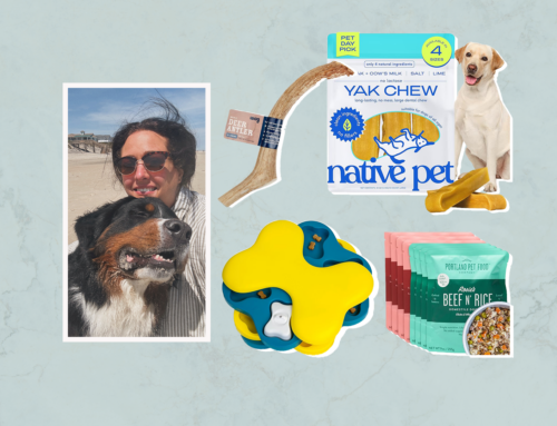 I’m a Dog Mom & Shopping Editor & These Are the Amazon Pet Day Deals I’m Grabbing Before T