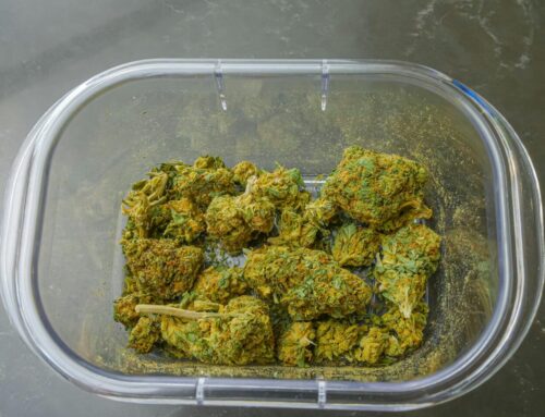 Cannabis-related hospital visits rising, often tied to mental health conditions: Study
