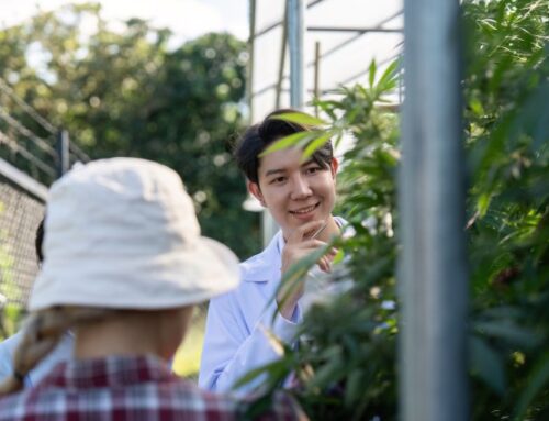 Community College of Denver offering three 9-week online cannabis classes