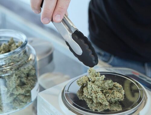 How Cannabis Companies Are Redistributing Their “Green” Thanks to Employee-Owned Business