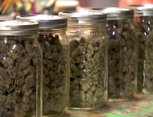 Moorhead cannabis retail shop could open as soon as this weekend