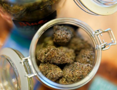 Del. senators demand weed czar nominee divest business holdings before vote