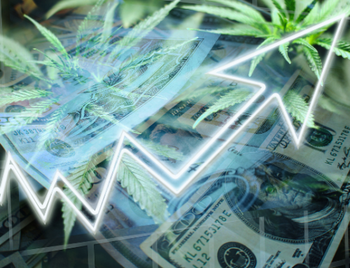 Analysis: State-Legal Cannabis Sales Top $30 Billion in 2024 Analysis: State-Legal Cannabi
