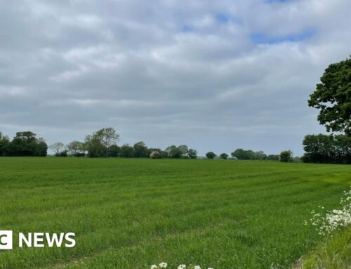 Mendlesham White Elm solar farm consultation opens