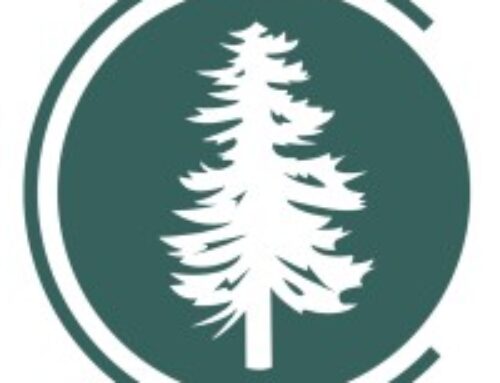 Conifer launches new cannabis program