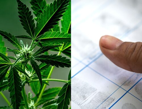 Delaware Receives FBI Code; Adult-Use Cannabis Sales ‘Partially’ a Go