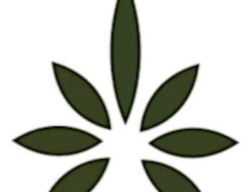 Cannabis Industry Night