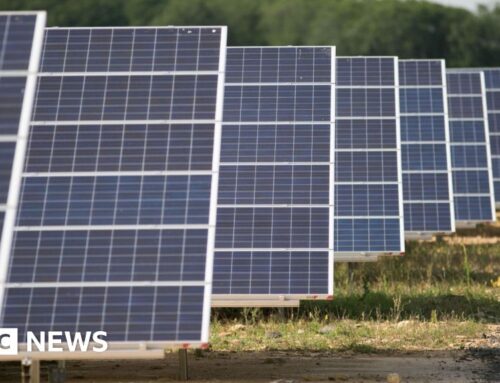 Witney solar farm plans approved by council