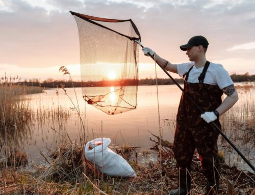 ‘Intervention tournament’ tests which behavioral strategies can motivate environmental act