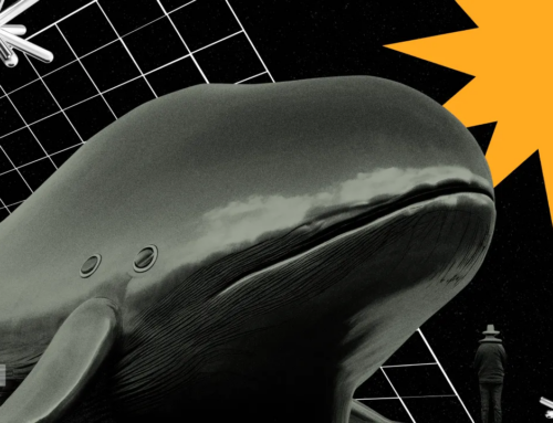 Ethereum Whales Remain Divided – What Lies Ahead for ETH Investors?