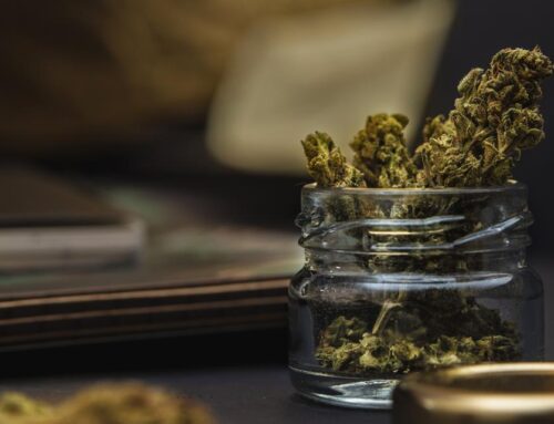 Full Interview: State Auditor Allison Ball launches probe into Kentucky medical cannabis l