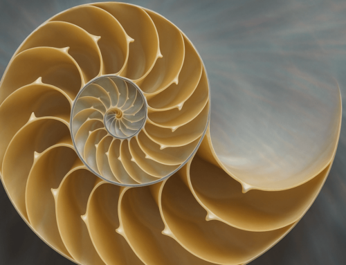 Fibonacci Retracement: A Trader’s Compass in the Bitcoin Market – Learning