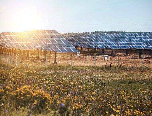 Eye of the Storm: Mitigating Financial Risks of Extreme Weather on Renewable Energy System