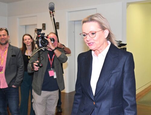 From nuclear to nature laws, here’s where new Liberal leader Sussan Ley stands on 4 energy