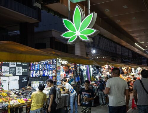 Cannabis edibles just as dangerous to heart health as smoking marijuana, study finds