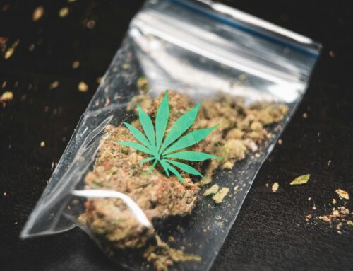 California Seizes $123.5M in Illegal Cannabis in Largest-Ever Enforcement Operation