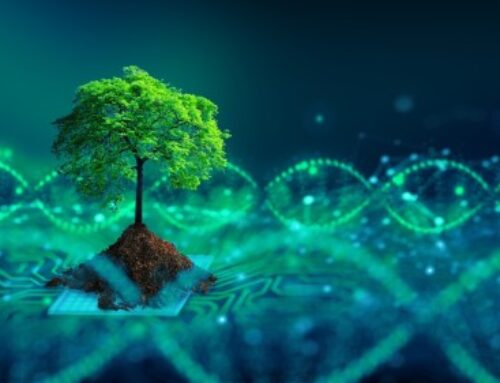 Environmental ‘determinants’ in precision medicine