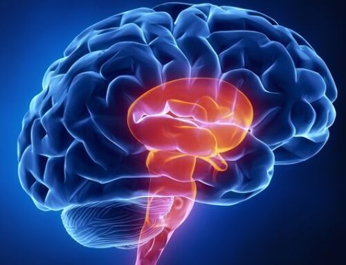 How ADHD and Obesity Are Linked – And Why City Living Might Help